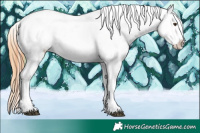 Horse Color:Plaid  Brown Dun Snowflake VarnishRabicano 