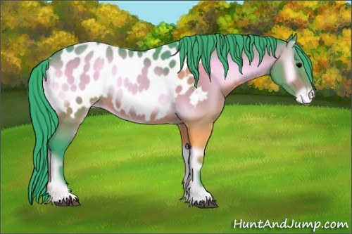 Horse Color:Watercolor Bay Onyx Appaloosa