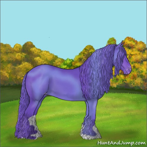 Horse Color:Watercolor Brown Appaloosa 