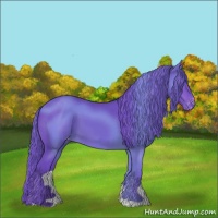 Horse Color:Watercolor Brown Appaloosa 