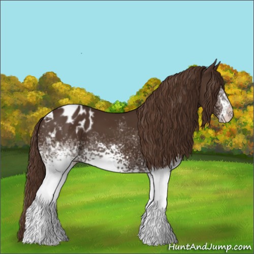 Horse Color:White Spotted Liver Chestnut Blanket