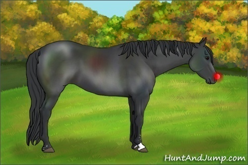 Horse Color:Black Sabino