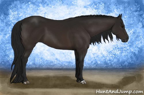 Horse Color:Gray Brown 