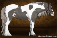 Horse Color:Silver Black Sabino Tobiano 