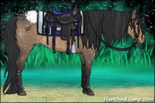Horse Color:Brown Dun Snowflake Varnish 