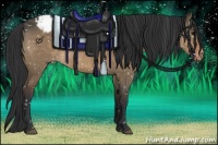 Horse Color:Brown Dun Snowflake Varnish 
