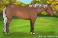 Horse Color:Silver Bay 