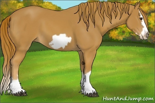 Horse Color:Chestnut Splash Frame