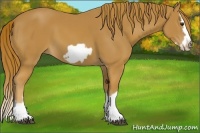 Horse Color:Chestnut Splash Frame 