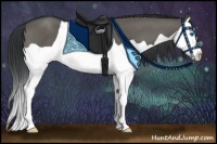 Horse Color:Grullo Splash 