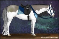Horse Color:Grullo Sabino Splash 
