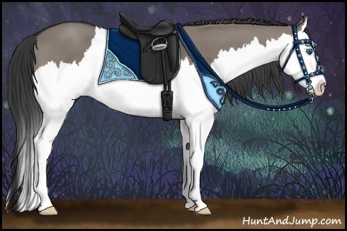 Horse Color:Grullo Sabino Splash 