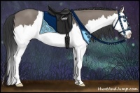 Horse Color:Grullo Sabino Splash 