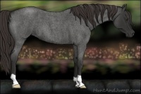 Horse Color:Liver Red Roan 