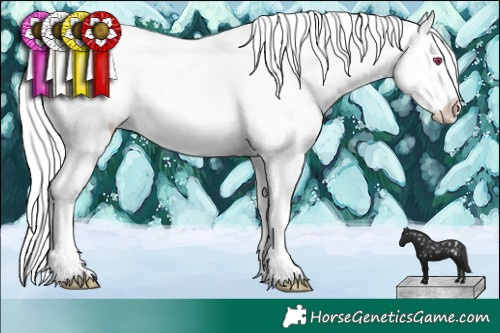 Horse Color:Silver Brown Chinchilla Ice Sabino Appaloosa 