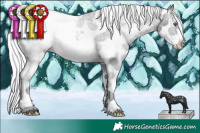 Horse Color:Silver Brown Chinchilla Ice Sabino Appaloosa 