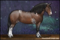 Horse Color:White Spotted Brown 