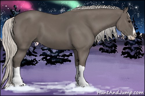 Horse Color:Silver Black Splash 