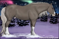 Horse Color:Silver Black Splash 