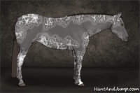 Horse Color:Liver Chestnut Ice 