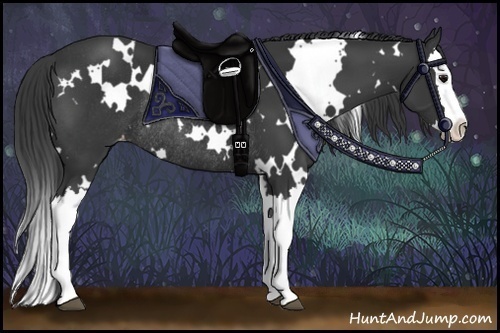 Horse Color:White Spotted Black Splash Varnish Rabicano