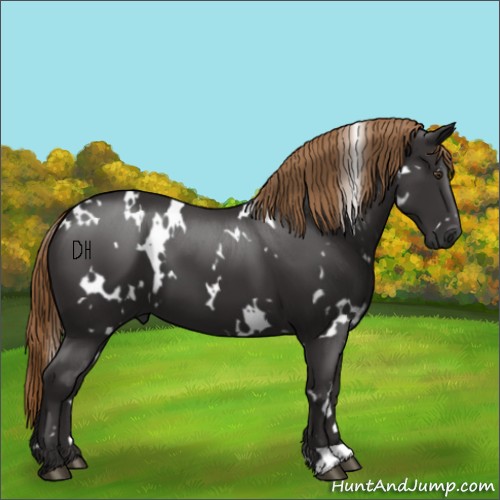 Horse Color:White Spotted Liver Chestnut 