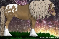 Horse Color:Chocolate Palomino Appaloosa 