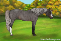Horse Color:Gray Silver Brown Roan 