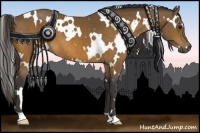Horse Color:White Spotted Buckskin