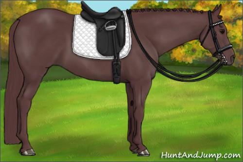 Horse Color:Chocolate Black 