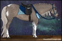 Horse Color:Silver Black Tobiano