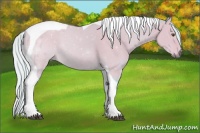 Horse Color:Watercolor Silver Buckskin Dun Tobiano 