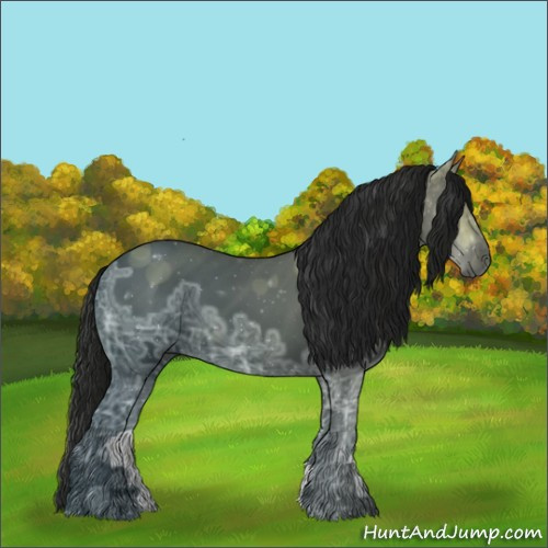 Horse Color:Gray Black Ice