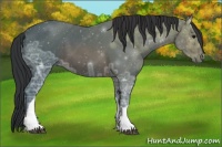 Horse Color:Brown Ice 