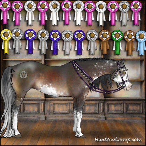 Horse Color:Brown Sabino