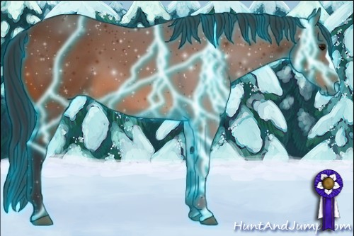 Horse Color:Thunderstruck Bay 