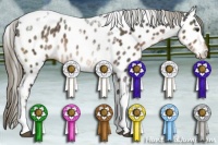 Horse Color:Liver Chestnut Mushroom Tobiano Near Leopard 