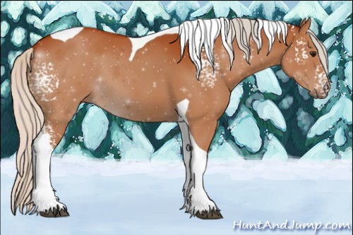Horse Color:White Spotted Silver Brown Tobiano 