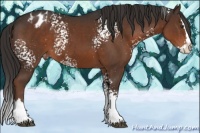 Horse Color:White Spotted Liver Chestnut Splash Varnish