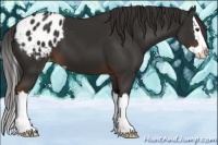Horse Color:Liver Chestnut Sabino Splash Blanket 