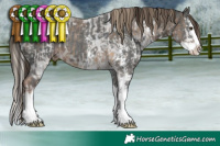 Horse Color:Chocolate Palomino Ice Sabino Splash  and Liver Chestnut Ice Sabino Splash 