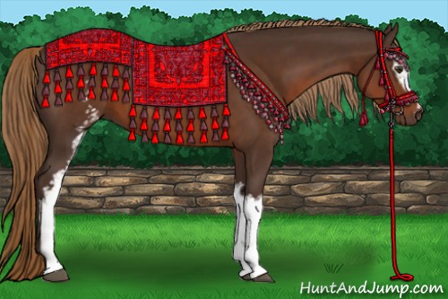 Horse Color:White Spotted Liver Chestnut 