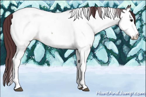 Horse Color:Chocolate Brown Sabino Splash Tobiano Near Fewspot Rabicano
