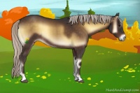 Horse Color:Silver Brown Onyx Rabicano
