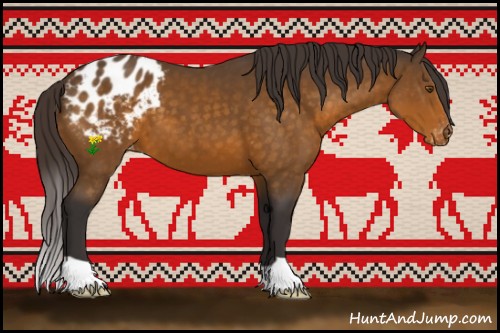Horse Color:Buckskin Appaloosa