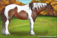 Horse Color:Chocolate Brown Tobiano