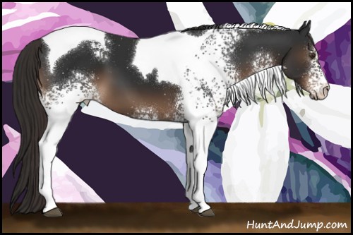 Horse Color:White Spotted Liver Chestnut Tobiano 