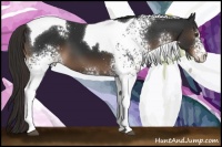 Horse Color:White Spotted Liver Chestnut Tobiano 