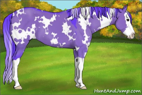 Horse Color:Watercolor White Spotted Grullo Splash 