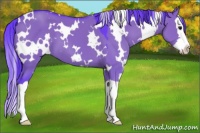 Horse Color:Watercolor White Spotted Grullo Splash 